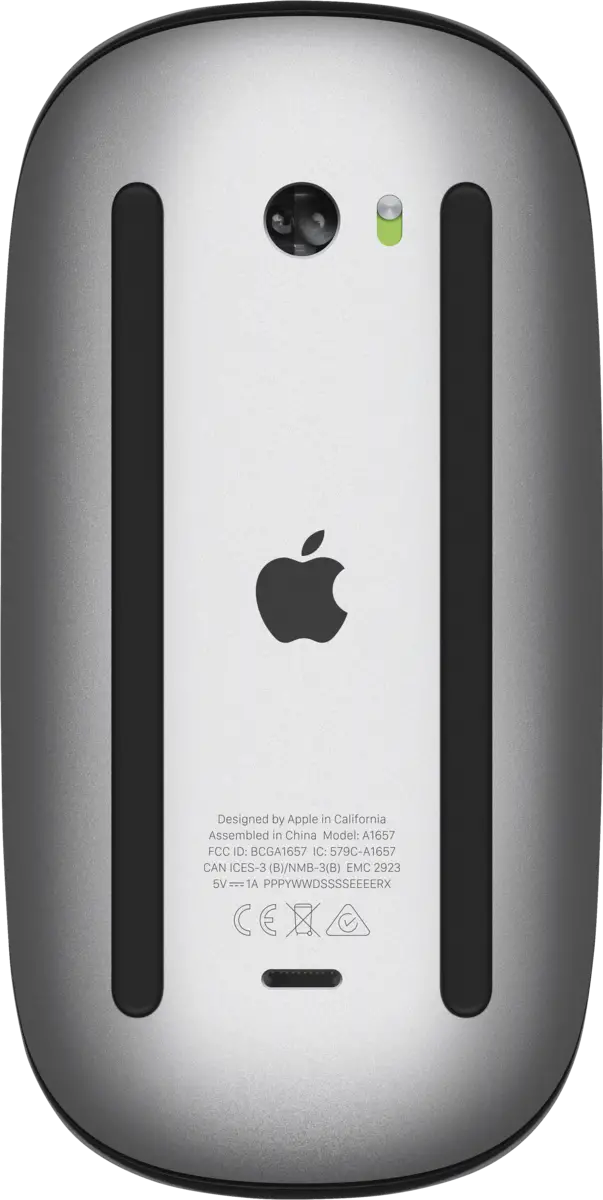 Magic Mouse - Multi-Touch