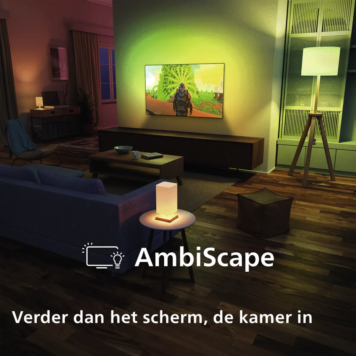 55OLED911/12