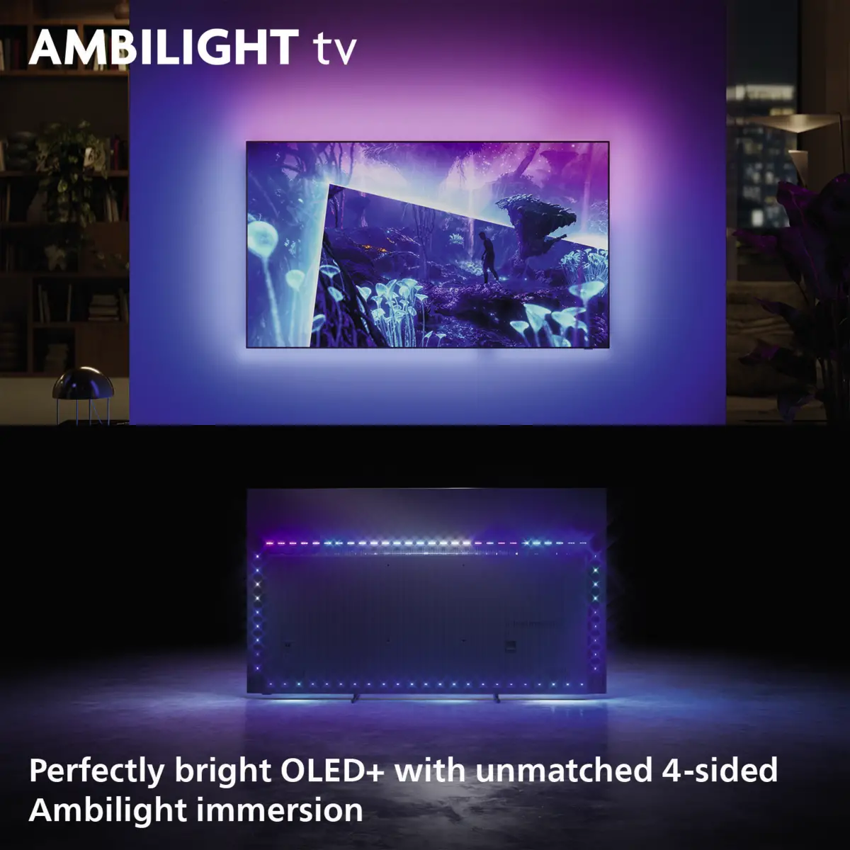 65OLED951/12