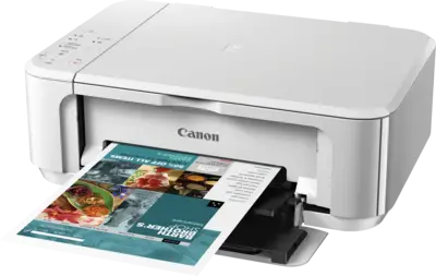 PIXMA MG3650S