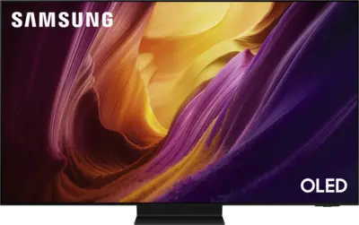 Samsung QE77S95HFTXXN