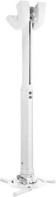Vogel`s PPC 1555