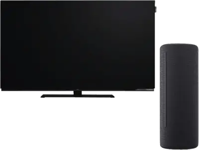 We by Loewe We. SEE 55 oled dc Coal Black + We. HEAR 2 Storm Grey